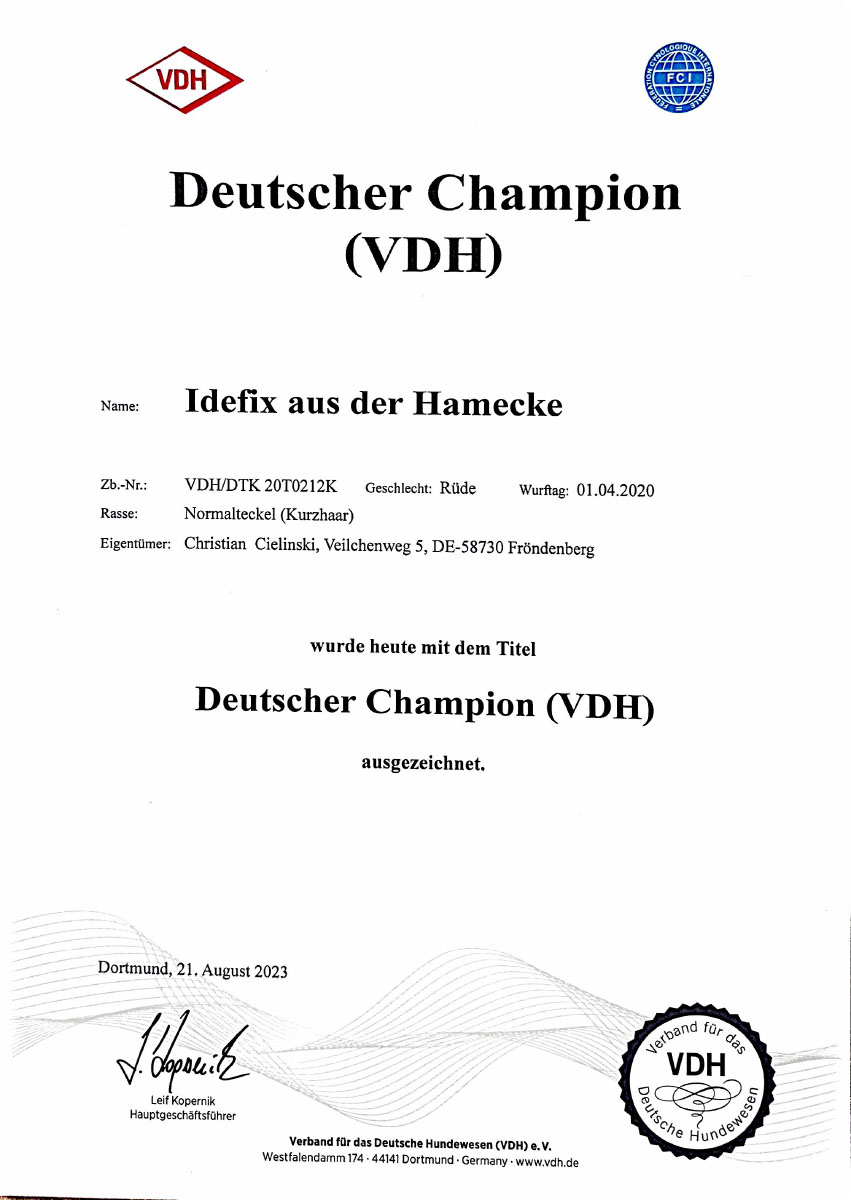 Idefix ist VDH-Champion